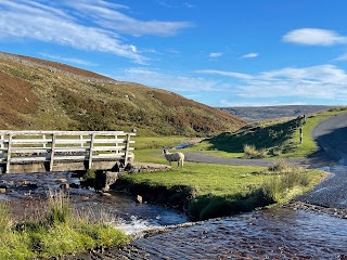 A Year in Books: 2022&nbsp;Review